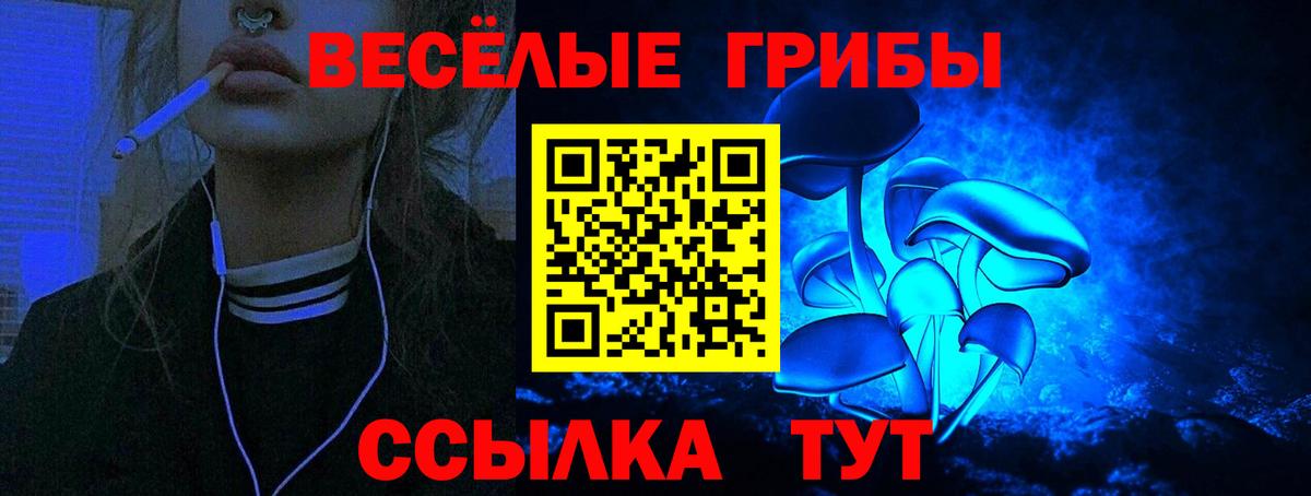 Вятские Поляны  Псилоцибиновые грибы ЛСД  Вход с VPN 